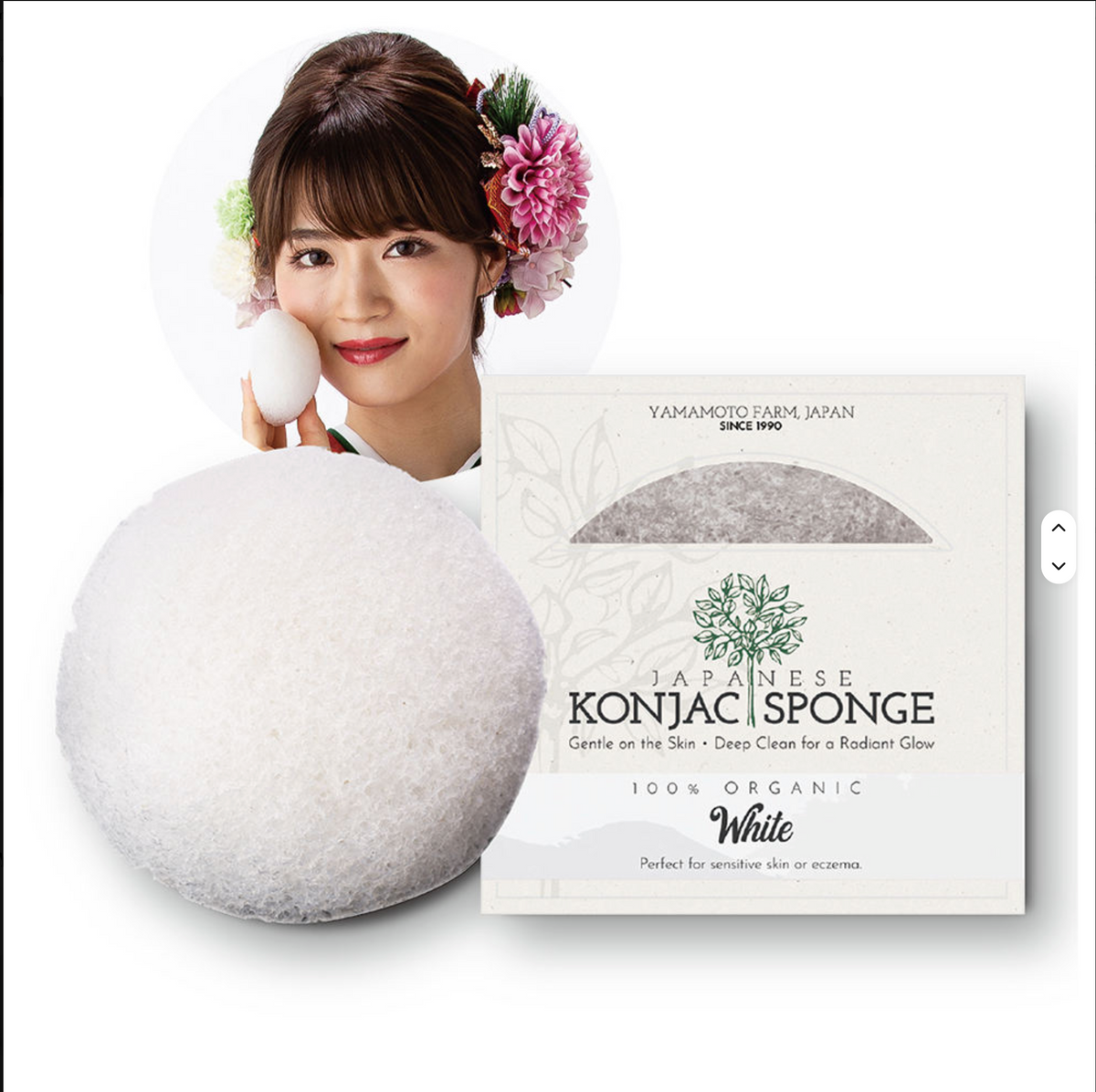 ✨ De Konjac-gezichtsspons ✨