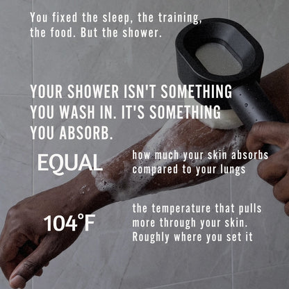 PUREGUARD Two-Stage Shower Filtration System